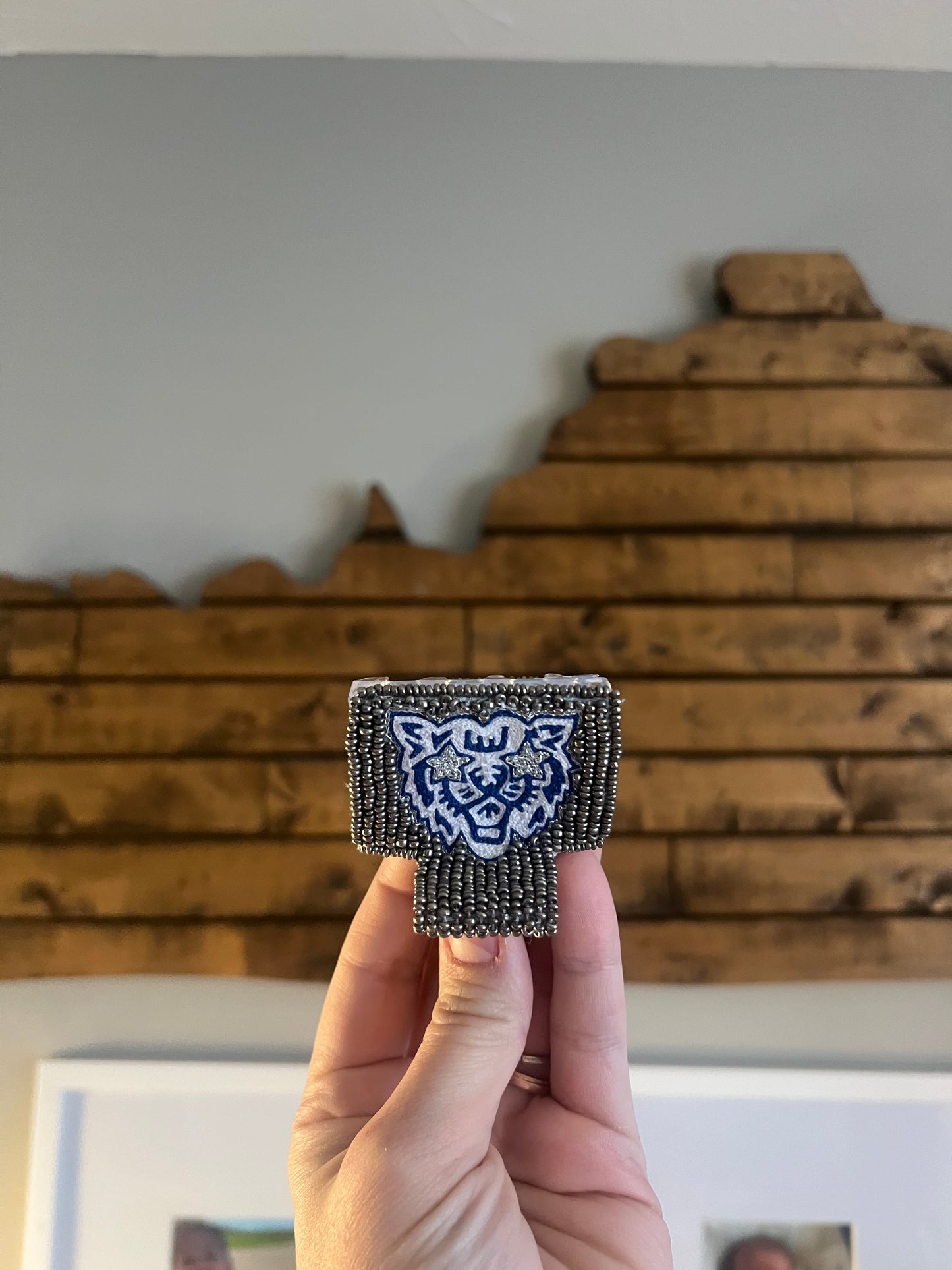 Mr. Wildcat Claw Clip