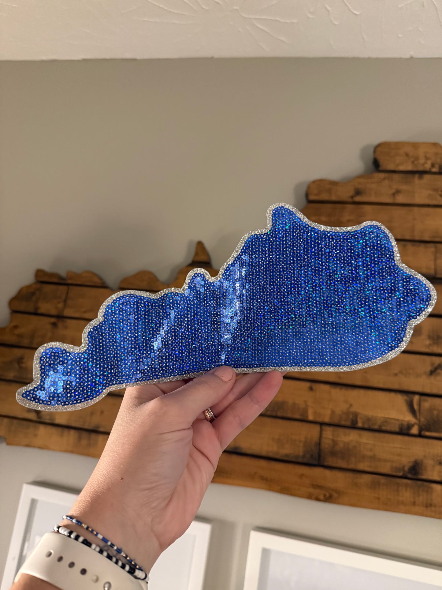 Kentucky Outline Sequin Patch