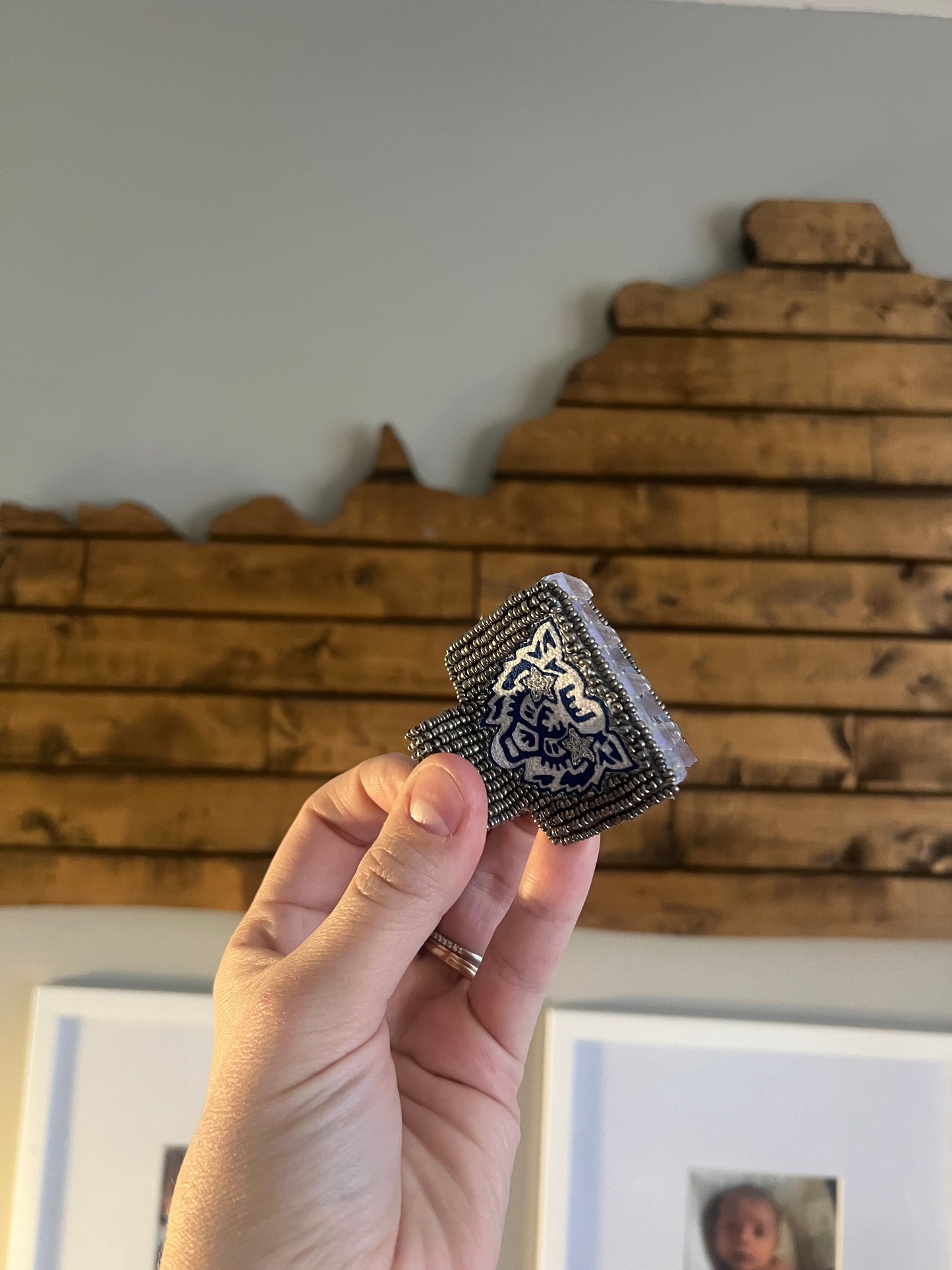 Mr. Wildcat Claw Clip