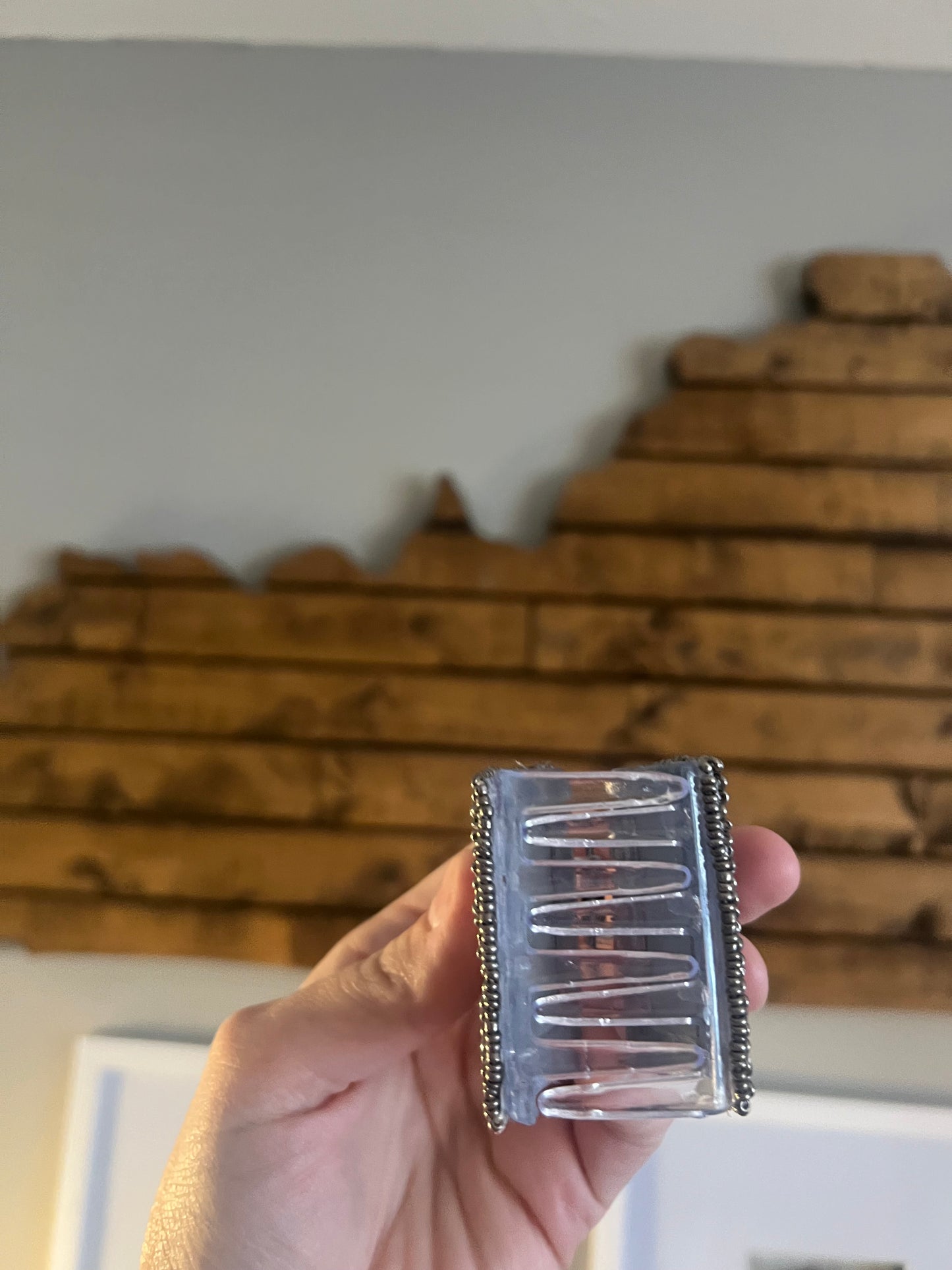 Mr. Wildcat Claw Clip