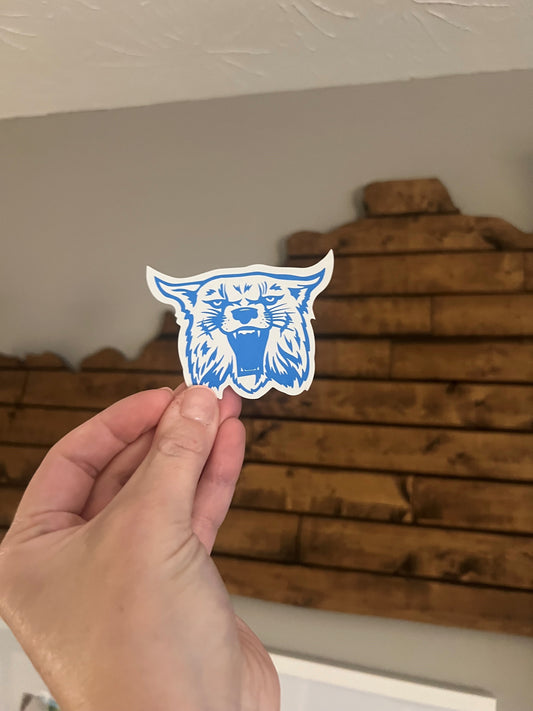 Wildcat Leather Patch