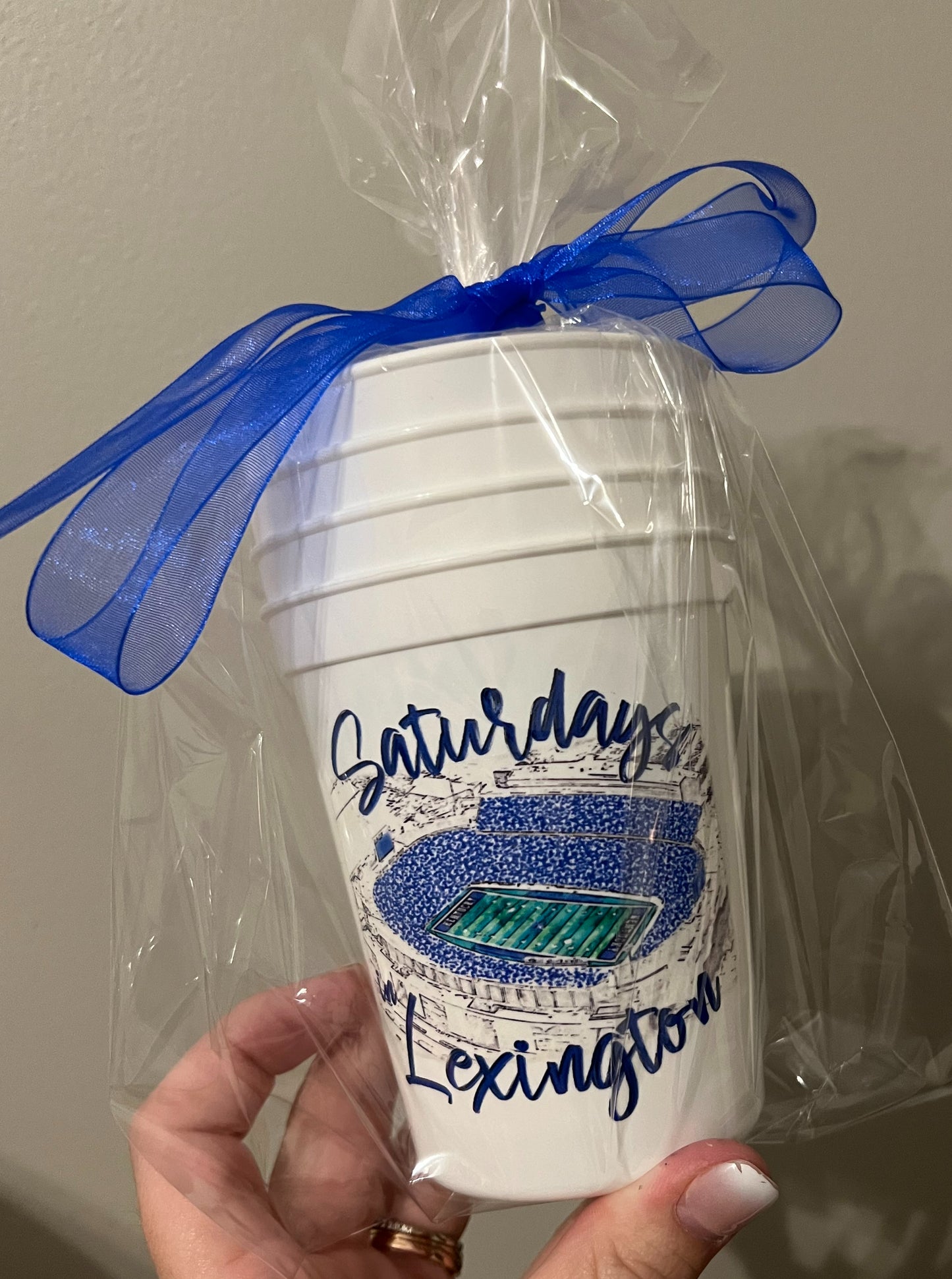 Saturdays in Lexington - Stadium Cup